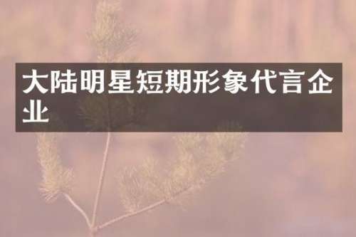 大陆明星短期形象代言企业