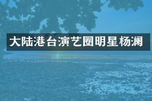 大陆港台演艺圈明星杨澜