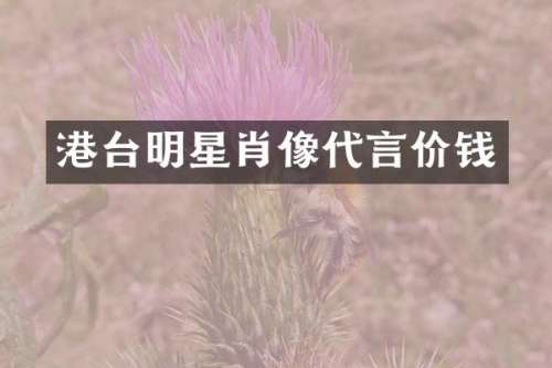 港台明星肖像代言价钱