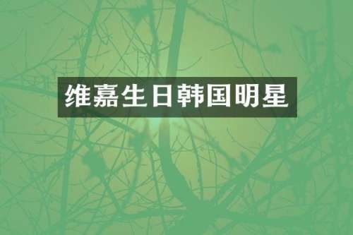 维嘉生日韩国明星