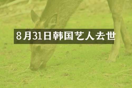 8月31日韩国艺人去世
