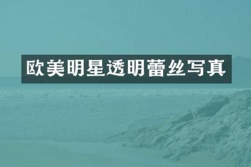 欧美明星透明蕾丝写真