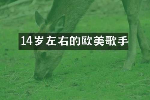 14岁左右的欧美歌手