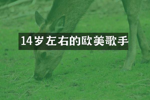 14岁左右的欧美歌手