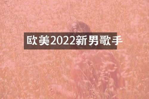 欧美2022新男歌手