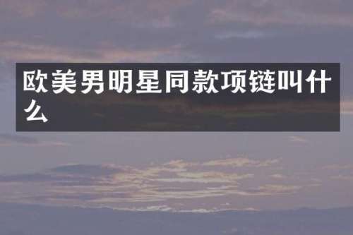 欧美男明星同款项链叫什么