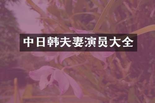 中日韩夫妻演员大全