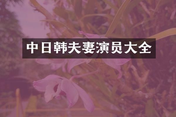 中日韩夫妻演员大全