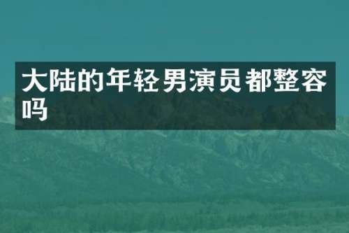 大陆的年轻男演员都整容吗