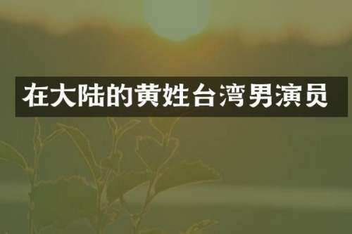 在大陆的黄姓台湾男演员