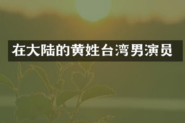 在大陆的黄姓台湾男演员