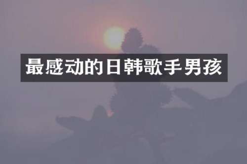 最感动的日韩歌手男孩