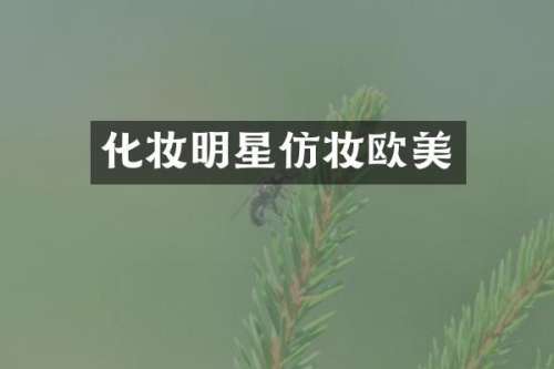 化妆明星仿妆欧美