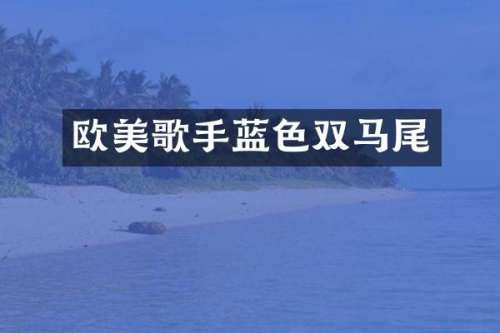 欧美歌手蓝色双马尾