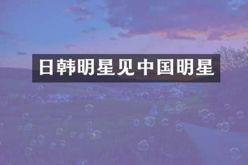 日韩明星见中国明星