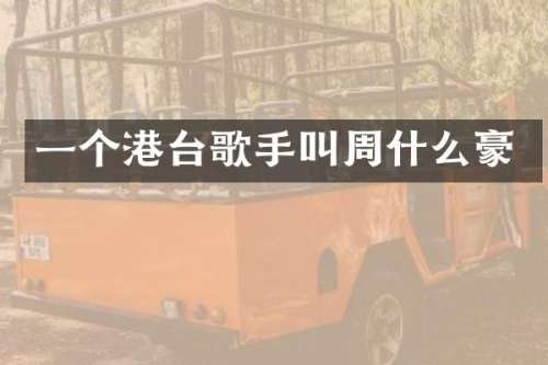 一个港台歌手叫周什么豪