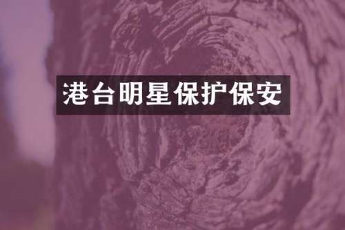 港台明星保护保安
