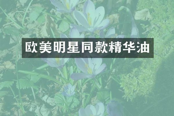 欧美明星同款精华油