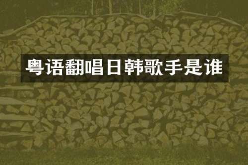 粤语翻唱日韩歌手是谁