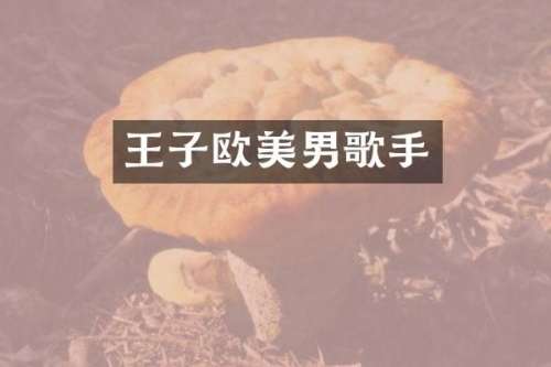 王子欧美男歌手