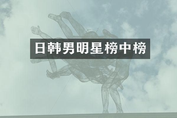 日韩男明星榜中榜