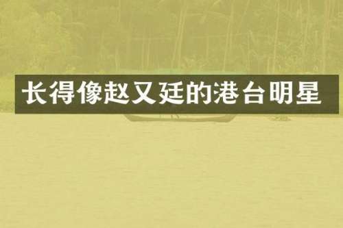 长得像赵又廷的港台明星