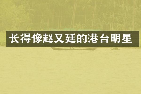 长得像赵又廷的港台明星