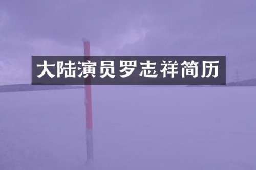 大陆演员罗志祥简历