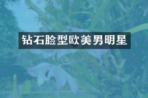 钻石脸型欧美男明星