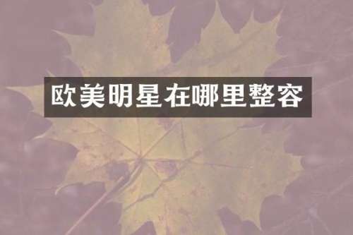 欧美明星在哪里整容