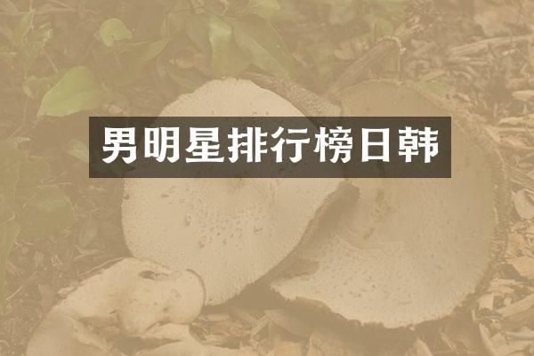 男明星排行榜日韩