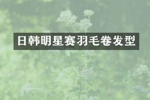 日韩明星赛羽毛卷发型
