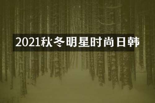 2021秋冬明星时尚日韩