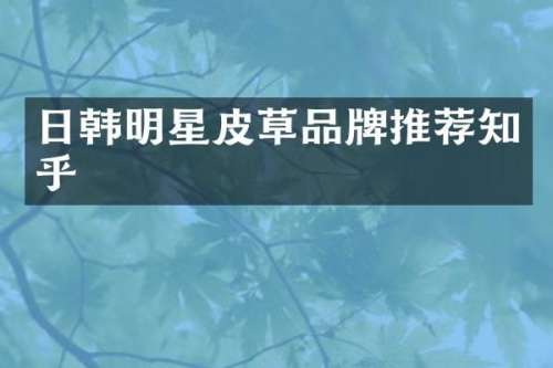 日韩明星皮草品牌推荐知乎