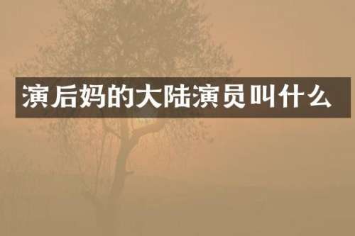 演的大陆演员叫什么