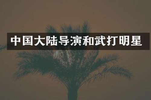 中国大陆导演和武打明星