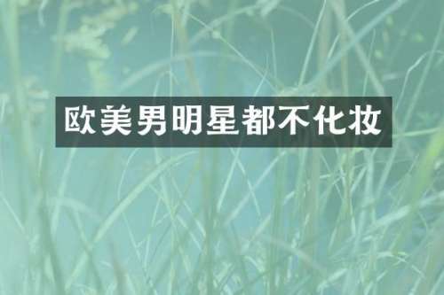 欧美男明星都不化妆