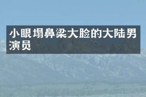小眼塌鼻梁大脸的大陆男演员