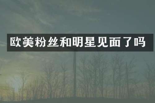 欧美粉丝和明星见面了吗