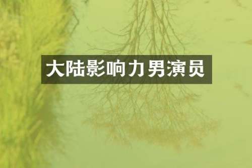 大陆影响力男演员