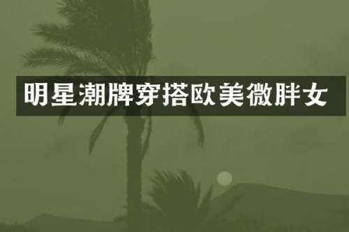 明星潮牌穿搭欧美微胖女