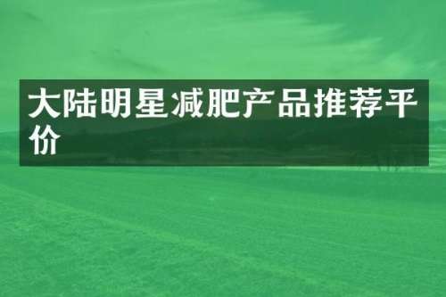 大陆明星减肥产品推荐平价