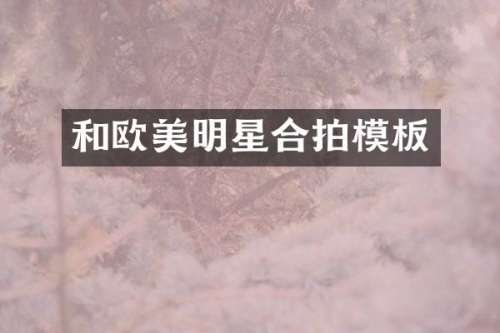 和欧美明星合拍模板