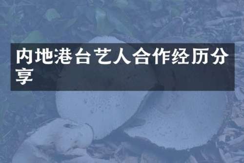 内地港台艺人合作经历分享