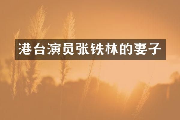 港台演员张铁林的妻子