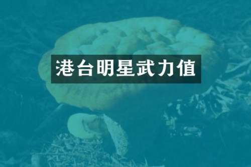 港台明星武力值