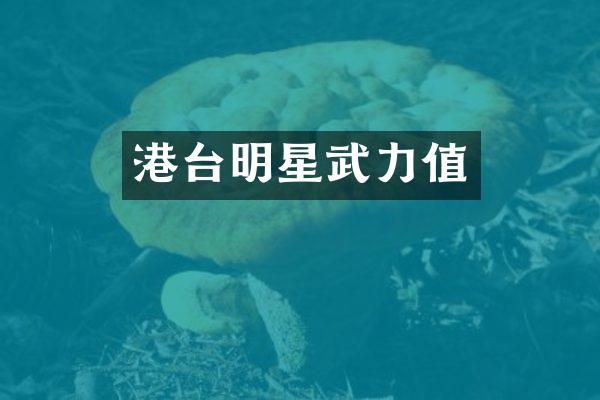 港台明星武力值