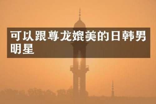 可以跟尊龙媲美的日韩男明星