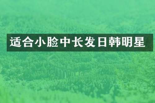 适合小脸中长发日韩明星