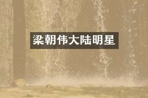梁朝伟大陆明星
